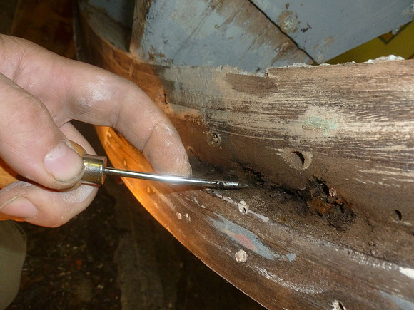 Examining keel and stem, determining extent of rot