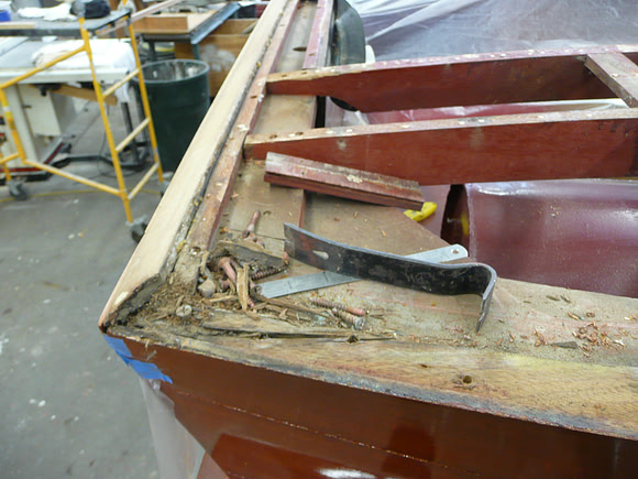 Removing rotting rot